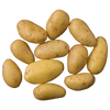 Potato