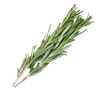 Rosemary