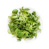 Spinach & Rocket Mix