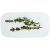 Thyme